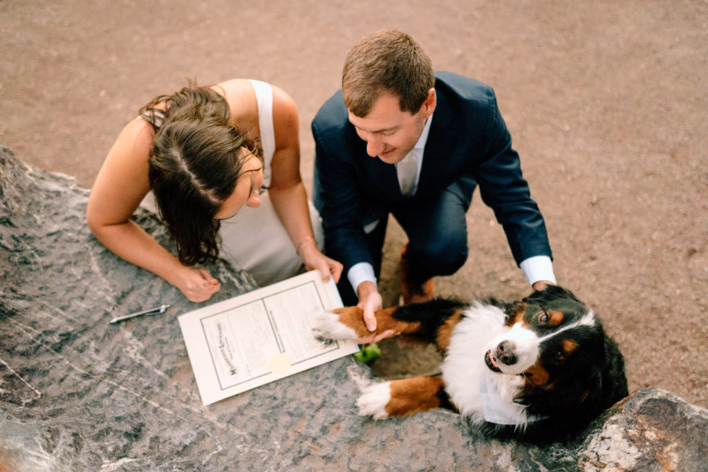 Couple signing marriage license with dog