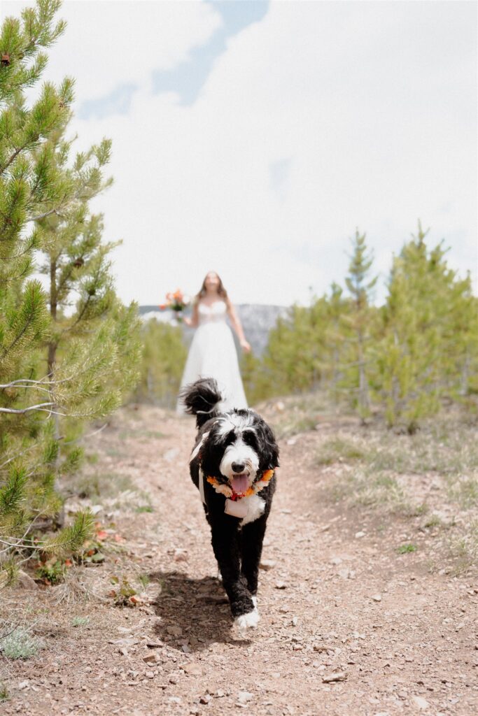 Bride walking down the mountain made aisle to groom