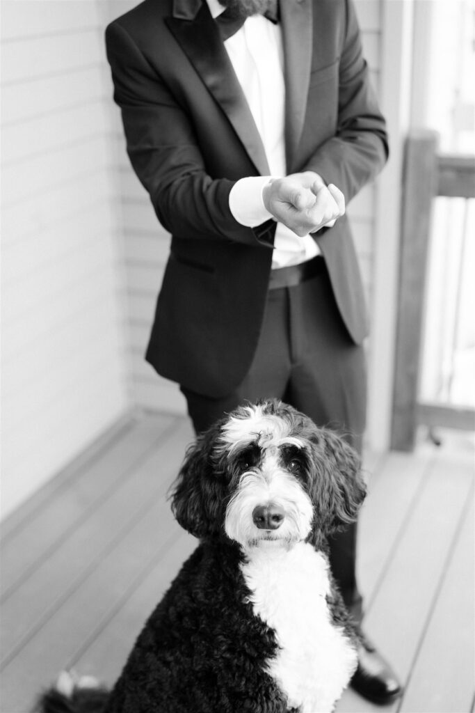 Couples dog sits near groom while getting ready