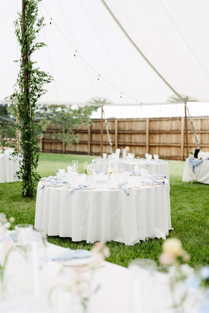 Luxury backyard wedding decor