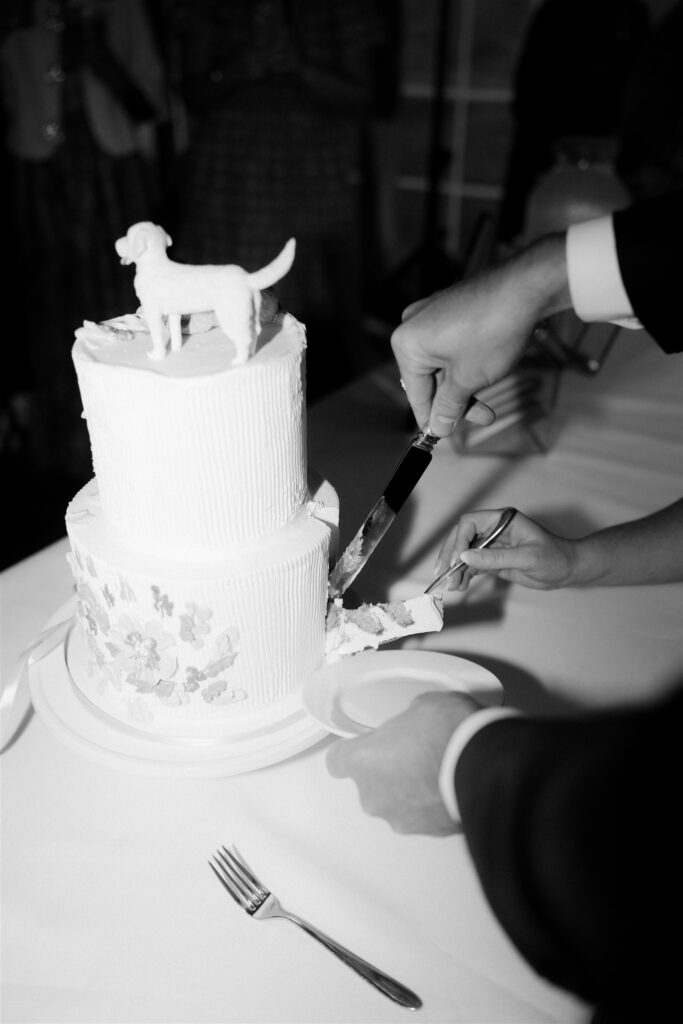 Camp Hale wedding reception cake cutting