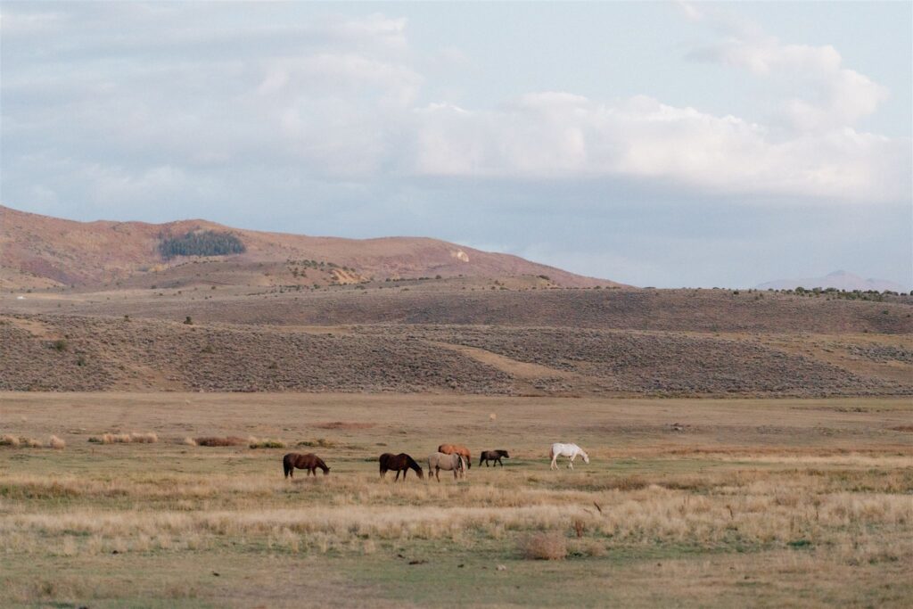 Vail wedding venue: 4 Eagle Ranch