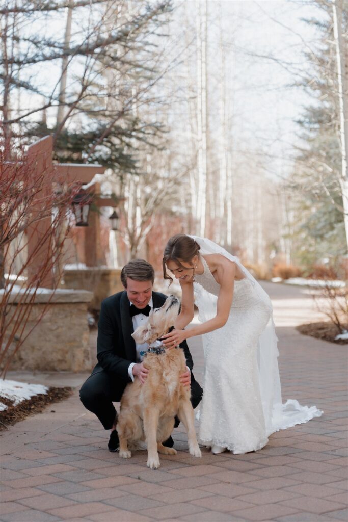 Colorado winter wedding photos with dogs