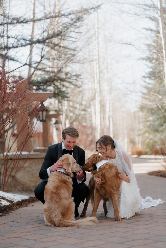 Colorado winter wedding photos with dogs