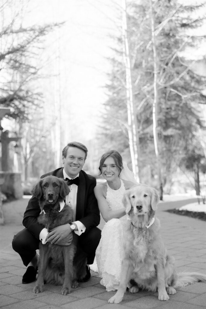 Colorado winter wedding photos with dogs