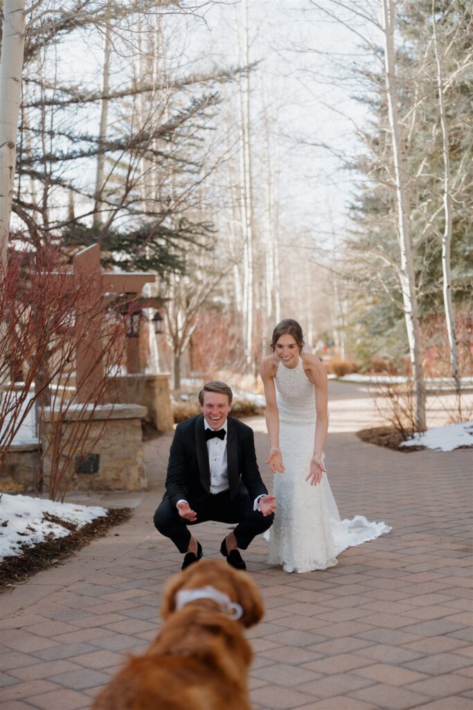 Colorado winter wedding photos with dogs